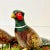 1973 Boho Chic Americana Folk Art Ceramic Pheasants - A Pair, Thanksgiving For Sale - Image 14 of 16
