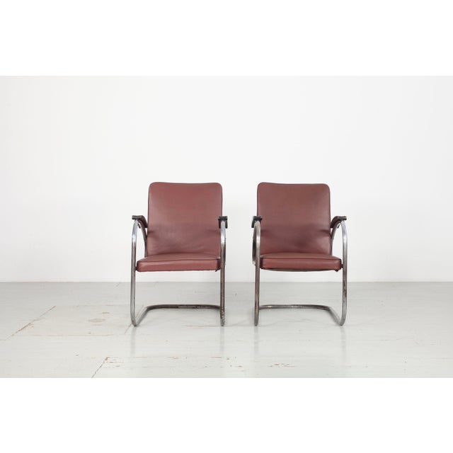 Set of Vintage RS 7 Cantilever Chairs from Mauser For Sale - Image 9 of 18