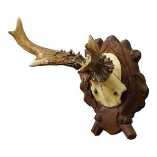 Antique Black Forest Red Deer Trophy on Carved Plaque, Germany 1938 For Sale