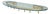 Model 2185 Wall Coat Rack by Max Ingrand for Fontana Arte, Italy, circa 1955 For Sale