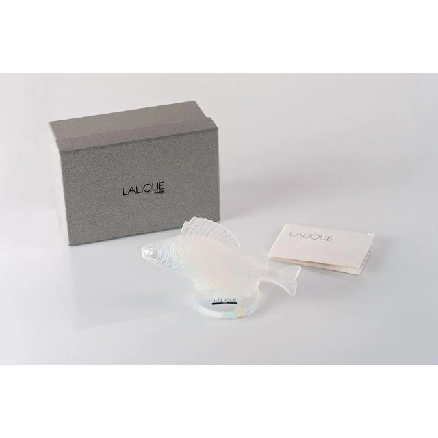 Opalescent Crystal Perche Fish Mascot or Paperweight by René Lalique, France For Sale - Image 5 of 6