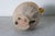 19th Century Spanish Pottery For Sale In Atlanta - Image 6 of 6