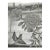 Sample for Chinoiserie Hand Painted Wallpapers on Silver Gilded Paper With Gap For Sale