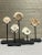 Shell Antique Oceanic Mounted Shell Currency- a Set of 5 For Sale - Image 7 of 7