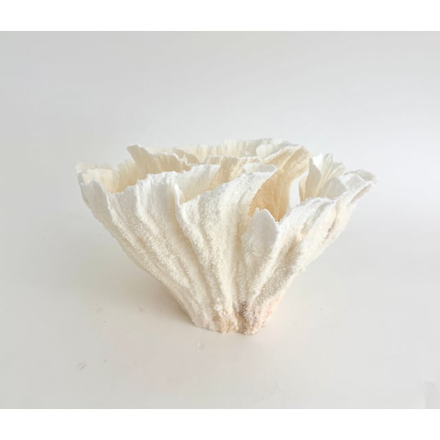 1990s Natural White Poca Coral Specimen For Sale - Image 5 of 8