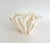 1990s Natural White Poca Coral Specimen For Sale - Image 5 of 8
