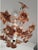 Vintage Italian Porcelain & Amber Brown Murano Glass Flower Chandelier For Sale - Image 10 of 10