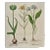Basilius Besler Besler Hand-colored Botanical Engraving of Flowering Tulip & Wild Garlic Plants, 1713 For Sale