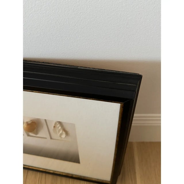 2010s Large Black Framed Shell Shadow Box Picture From Barclay Butera For Sale - Image 5 of 6