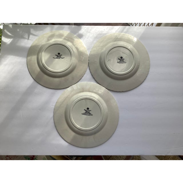 Set of 3 Mid 20th Century English Fine China Plates For Sale - Image 4 of 12