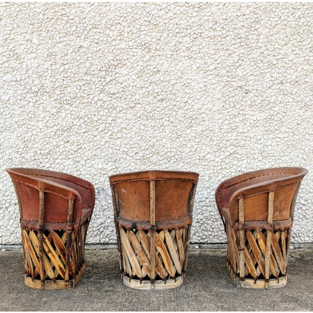 Leather & Cedar Equipale Chairs, Set of 6 Chairish