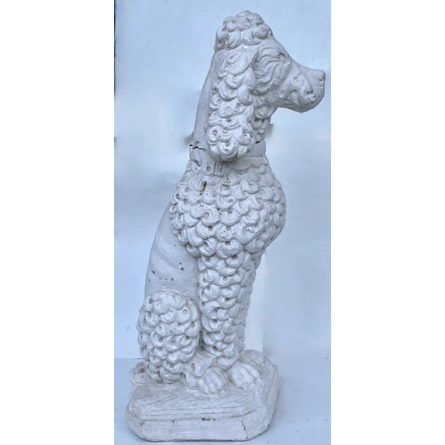 White Standard Poodle Dog Statue Garden Ornament Mid 20th Century For Sale In New York - Image 6 of 10