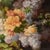 Still Life with Flower Vase, 1800s, Oil on Canvas For Sale - Image 4 of 11