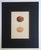 Early 20th century brown speckled eggs chromolithograph. Unframed. Displayed in black mat. Opening, 8.25"H x 5.25"L. Age...