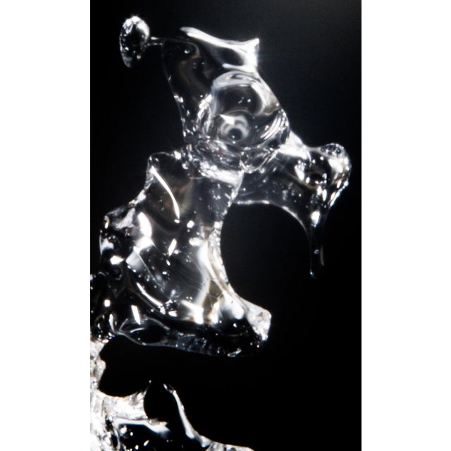 Macro photography - Giclée print on archival Hahnemühle paper 308 gsm Finest Quality - Archival properties with lasting up...