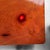 Large Japanese Zataku Low Table in Keyaki Wood, 1960s For Sale - Image 13 of 18