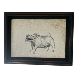 Wild Boar Drawing on Gesso Panel. (Framed)