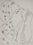 Henri Matisse (1869-1954) (after) Reserved Woman Lithograph after a drawing by the artist Signed in the plate On wove...