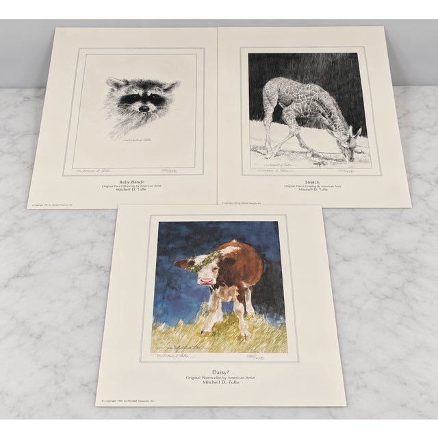 American Mitchell D. Tolle Misty Valley 1991 Complete 8 Signed & Numbered Lithograph Portfolio No. 1356/4790 With Coa - 15 pcs For Sale - Image 3 of 10