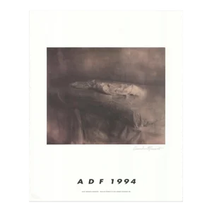 1994 Hiromitsu Morimoto 'American Dance Festival 1994' Photography Neutral Offset Lithograph