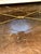 Late 20th Century Vintage Italian Gilded Iron and Travertine Coffee Table For Sale - Image 5 of 9