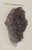 Contemporary Pheromone by Christopher Marley Amethyst Framed Mineral Specimen For Sale - Image 3 of 4