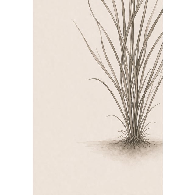 Taupe Coastal Sea Grass Study Iv, Minimalist Botanical Art Print, 24" × 36" Reproduction For Sale - Image 8 of 10