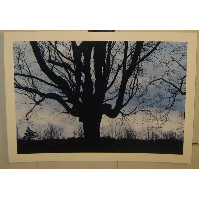 This is really a great piece. One of a small collection of early daniel farber photographs I acquired. The works were...