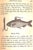 "The Angler's Guide on the Art of Angling" Book 1833 Salter, T.F. Esq For Sale - Image 9 of 10