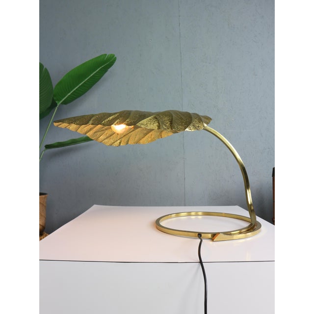 Rhubarb Table Lamp by Tommaso Barbi for Bottega Gadda, 1970 For Sale - Image 13 of 18