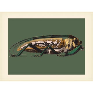 Bugs by Seguy #6 Reproduction For Sale