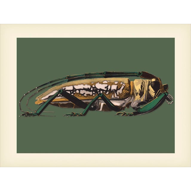 Bugs by Seguy #6 Reproduction For Sale