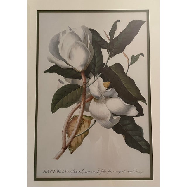 Glass Gold Framed Magnolia Prints, a Pair For Sale - Image 7 of 10