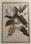 Glass Gold Framed Magnolia Prints, a Pair For Sale - Image 7 of 10