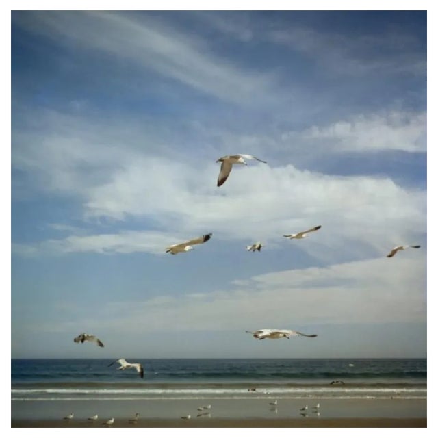 Slim Aarons, San Diego Gulls, Estate Stamped Photographic Print, 1956 / 2020s For Sale