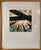 Gregory Amenoff, Monoprint Monotype American Modernist Gregory Amenoff Abstract Expressionist For Sale - Image 4 of 6