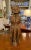 A 16th century carved wood religious figure from Italy. Possibly a Pope.