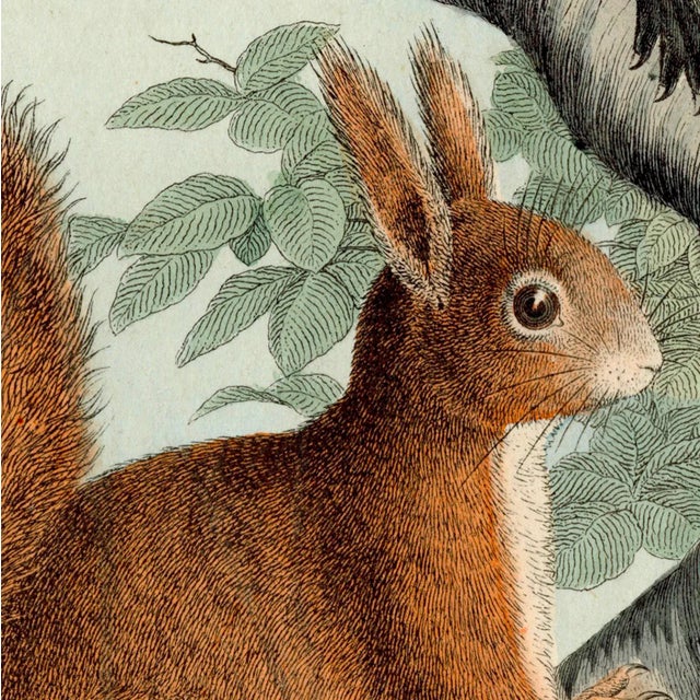 Featured is a beautiful museum-quality print of an original bookplate from the mid-1800s that has been digitally altered....