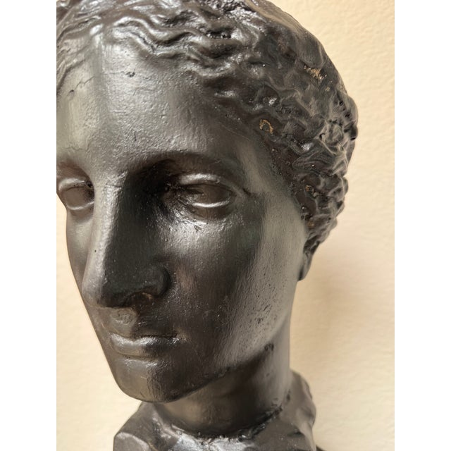 Neoclassical Female Bust Garden Sculpture in Cast Concrete For Sale In Los Angeles - Image 6 of 9