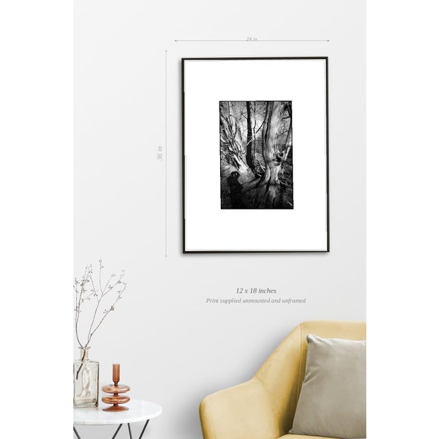 Paul Cooklin, Shadow Selfie, Edition of 50 For Sale - Image 4 of 7
