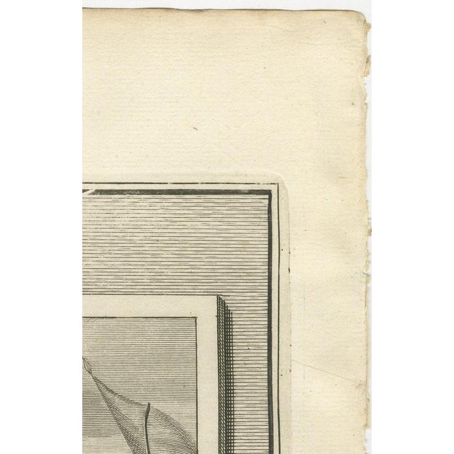 Beige Pieter Mortier, Death of Saul and the Men of Jabesh Recover His Body, Pieter 1700, Engraving For Sale - Image 8 of 12