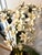 Mid-Century Modern Vintage Mid-Century White Tole Narcissus Floral Arrangement Botanical Paperwhites Sculpture Circa 1950s For Sale - Image 3 of 11