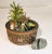 Mid-Century Modern Mid C Tile Planter Bowl Oklahoma Artist For Sale - Image 3 of 10