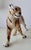 Ceramic Tiger from Montebello, Italy, 1970s For Sale - Image 13 of 16