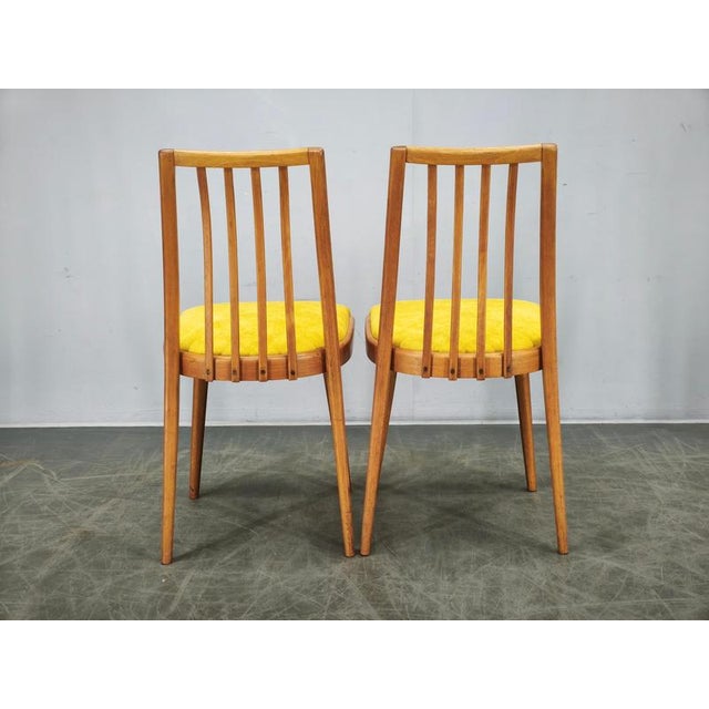 Mid-Century Modern Beech Dining Chairs from TON, Czechoslovakia, 1970s, Set of 4 For Sale - Image 12 of 16