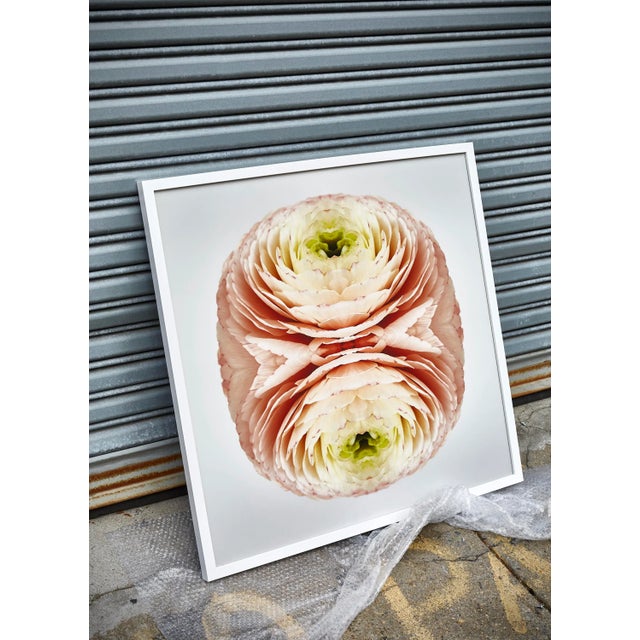 Not Yet Made - Made To Order "No. 199" Contemporary Original Op Art Botanical Limited Edition Photograph Print by Erin Derby For Sale - Image 5 of 7