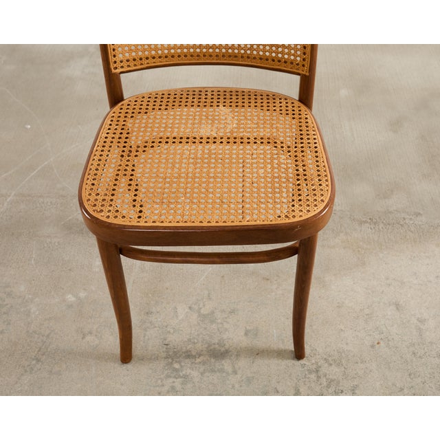 Set of Six Thonet Bentwood Prague Dining Chairs by Josef Hoffmann For Sale - Image 11 of 18