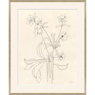 Helebore Study II Framed Art Print by Susan Hable For Sale