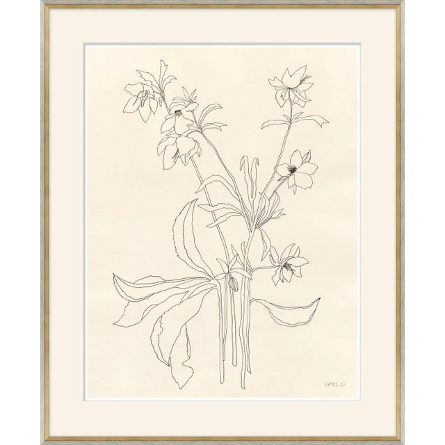 Helebore Study II Framed Art Print by Susan Hable For Sale