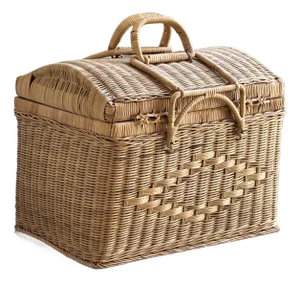 Mid 20th Century Vintage Natural Woven Wicker Carrying Case Basket